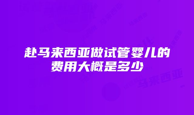 赴马来西亚做试管婴儿的费用大概是多少