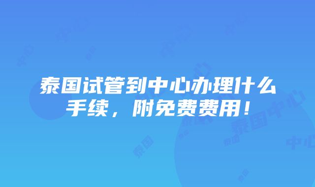 泰国试管到中心办理什么手续，附免费费用！