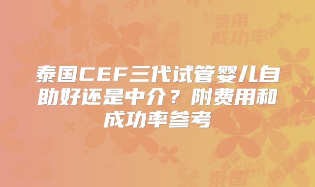 泰国CEF三代试管婴儿自助好还是中介？附费用和成功率参考