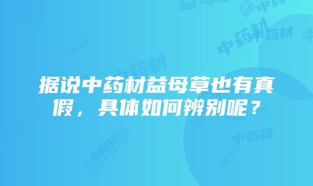 据说中药材益母草也有真假，具体如何辨别呢？