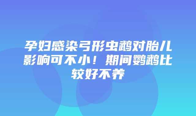 孕妇感染弓形虫鹉对胎儿影响可不小！期间鹦鹉比较好不养