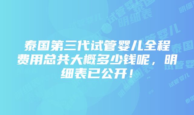 泰国第三代试管婴儿全程费用总共大概多少钱呢，明细表已公开！