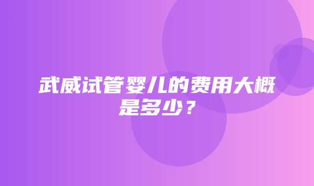 武威试管婴儿的费用大概是多少？