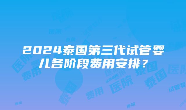 2024泰国第三代试管婴儿各阶段费用安排？