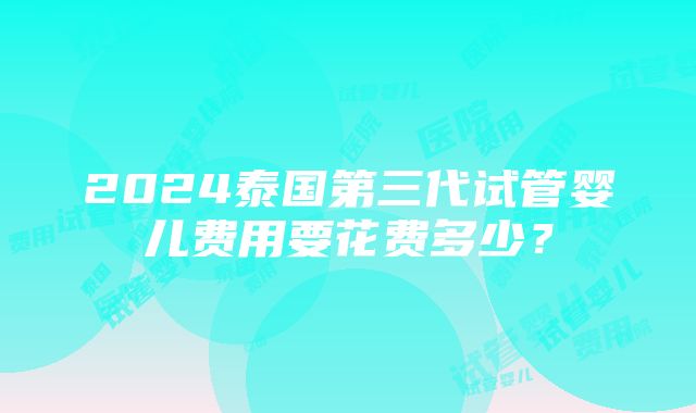 2024泰国第三代试管婴儿费用要花费多少？