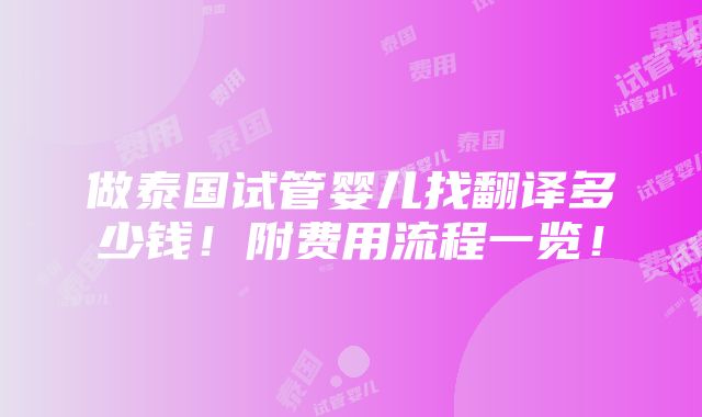 做泰国试管婴儿找翻译多少钱！附费用流程一览！