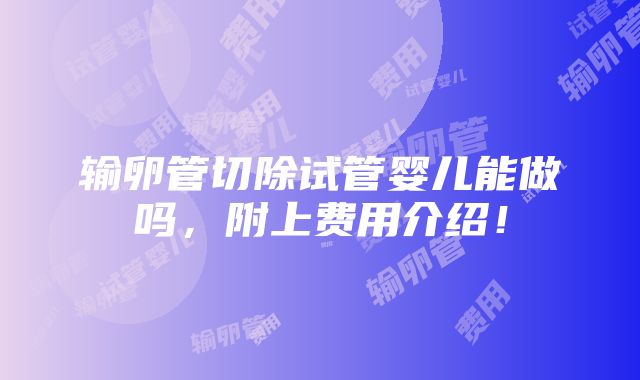 输卵管切除试管婴儿能做吗，附上费用介绍！