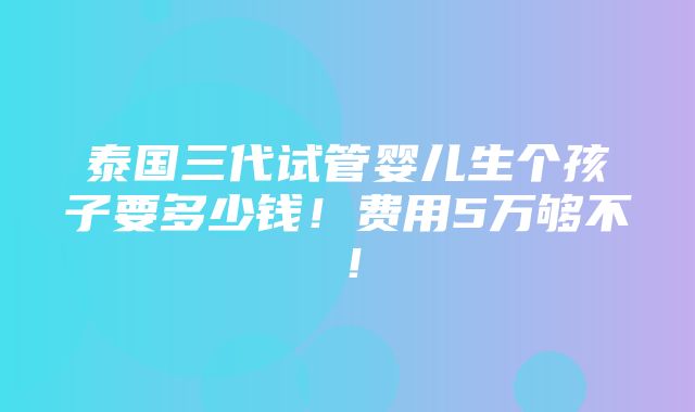 泰国三代试管婴儿生个孩子要多少钱！费用5万够不！