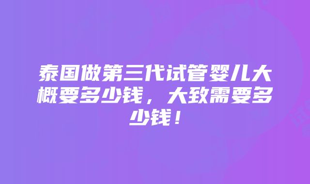 泰国做第三代试管婴儿大概要多少钱，大致需要多少钱！