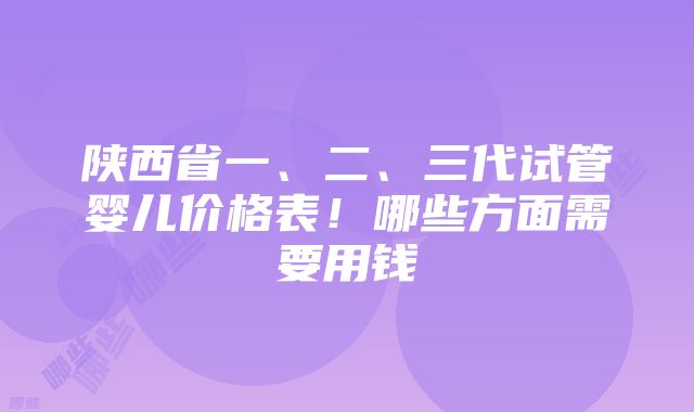 陕西省一、二、三代试管婴儿价格表！哪些方面需要用钱