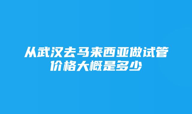 从武汉去马来西亚做试管价格大概是多少