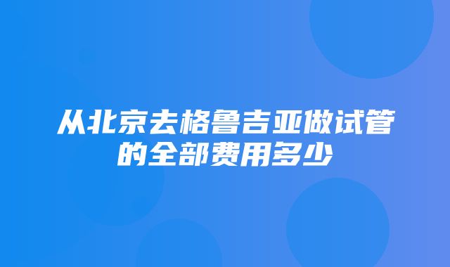 从北京去格鲁吉亚做试管的全部费用多少