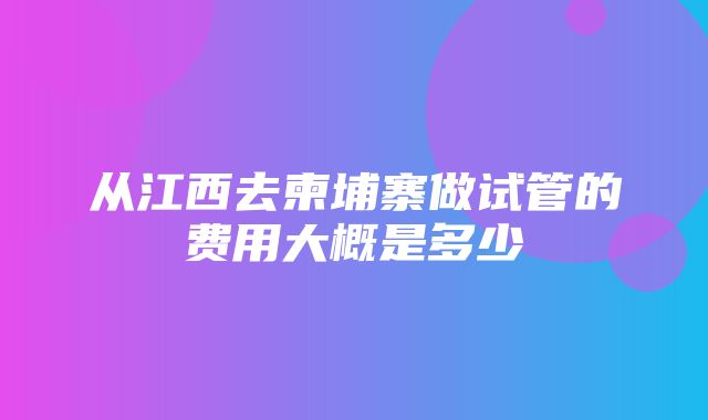 从江西去柬埔寨做试管的费用大概是多少