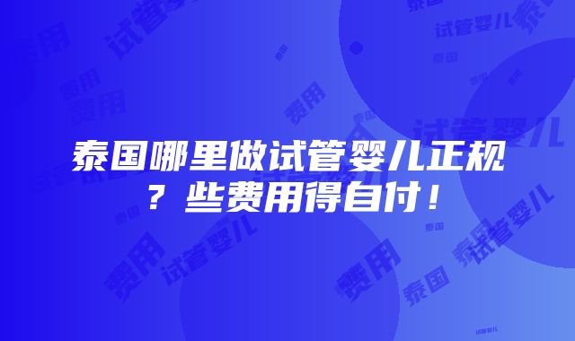 泰国哪里做试管婴儿正规？些费用得自付！