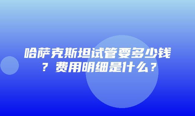 哈萨克斯坦试管要多少钱？费用明细是什么？