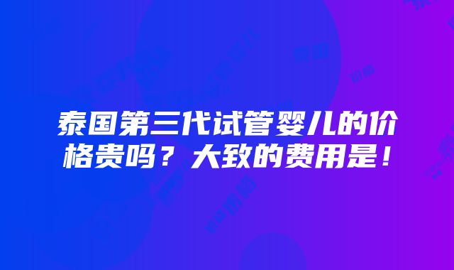 泰国第三代试管婴儿的价格贵吗？大致的费用是！