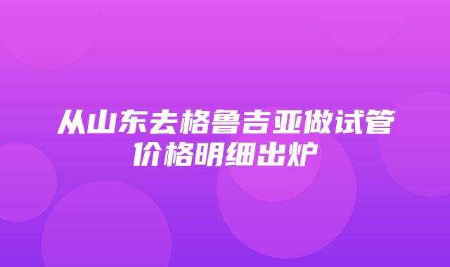 从山东去格鲁吉亚做试管价格明细出炉