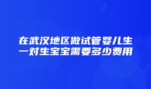 在武汉地区做试管婴儿生一对生宝宝需要多少费用