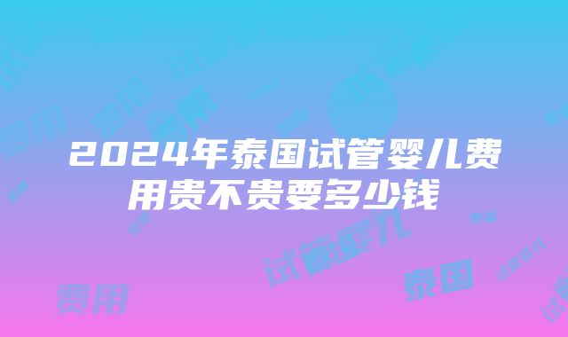 2024年泰国试管婴儿费用贵不贵要多少钱