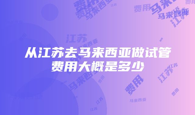 从江苏去马来西亚做试管费用大概是多少