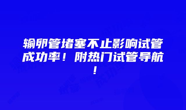 输卵管堵塞不止影响试管成功率！附热门试管导航！