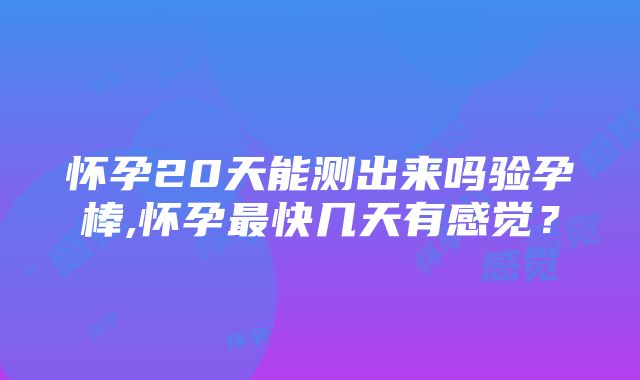 怀孕20天能测出来吗验孕棒,怀孕最快几天有感觉？