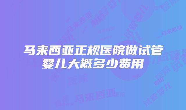 马来西亚正规医院做试管婴儿大概多少费用