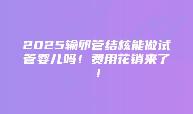 2025输卵管结核能做试管婴儿吗！费用花销来了！