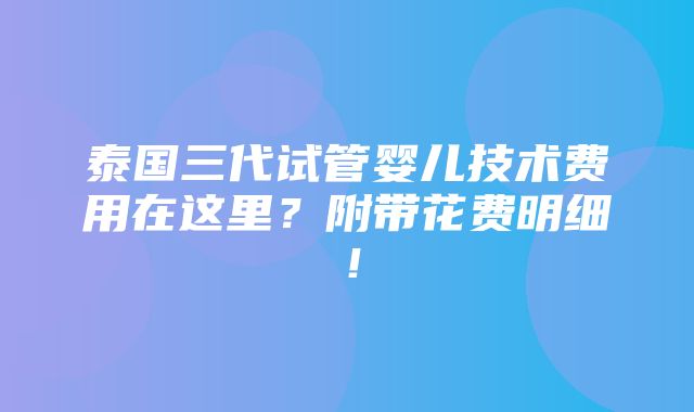 泰国三代试管婴儿技术费用在这里？附带花费明细！