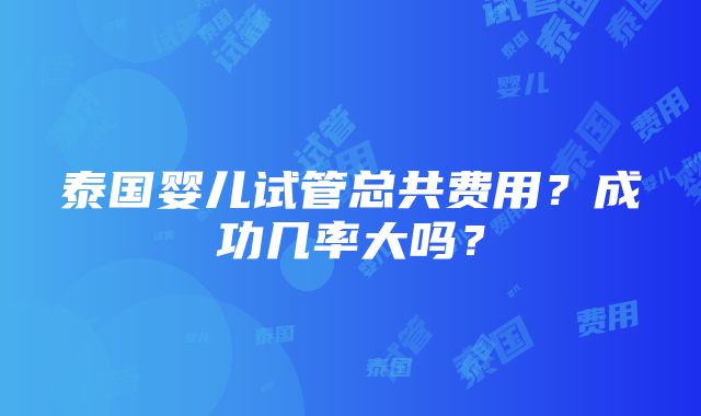 泰国婴儿试管总共费用？成功几率大吗？