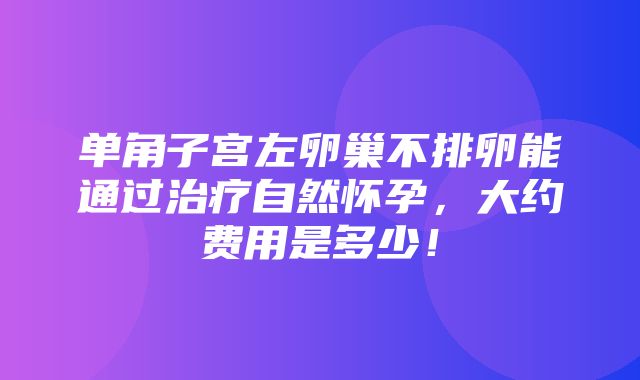 单角子宫左卵巢不排卵能通过治疗自然怀孕，大约费用是多少！