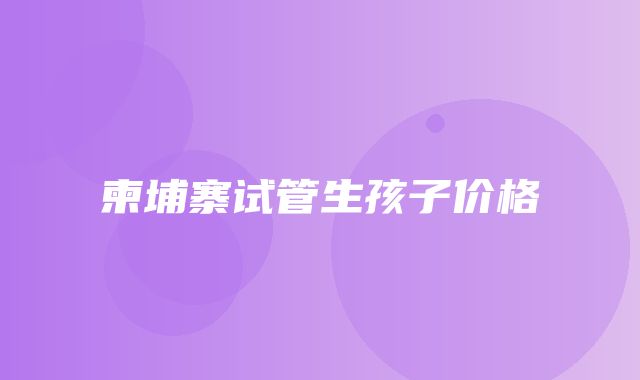 柬埔寨试管生孩子价格