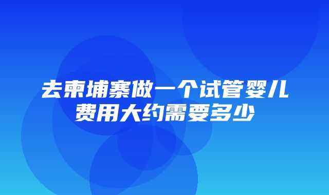 去柬埔寨做一个试管婴儿费用大约需要多少