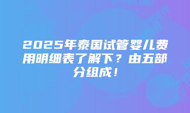 2025年泰国试管婴儿费用明细表了解下？由五部分组成！