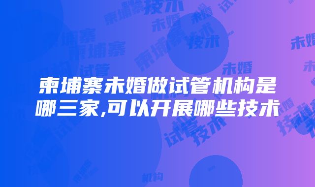 柬埔寨未婚做试管机构是哪三家,可以开展哪些技术