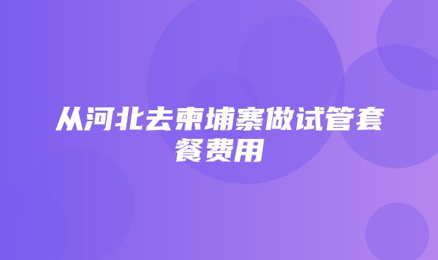 从河北去柬埔寨做试管套餐费用