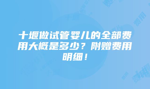 十堰做试管婴儿的全部费用大概是多少？附赠费用明细！