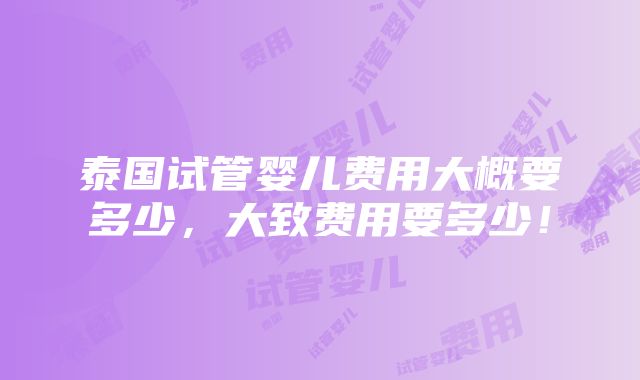 泰国试管婴儿费用大概要多少，大致费用要多少！