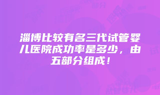 淄博比较有名三代试管婴儿医院成功率是多少，由五部分组成！