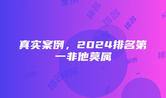 真实案例，2024排名第一非他莫属