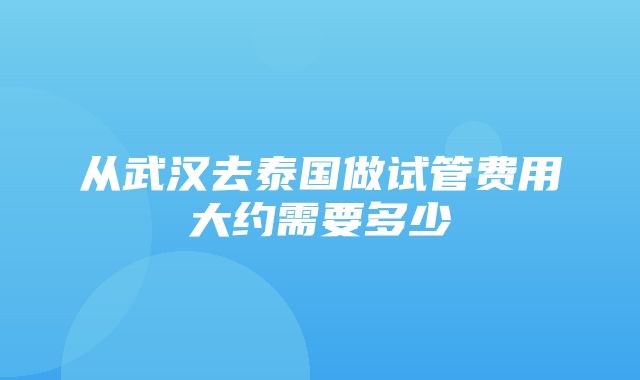 从武汉去泰国做试管费用大约需要多少