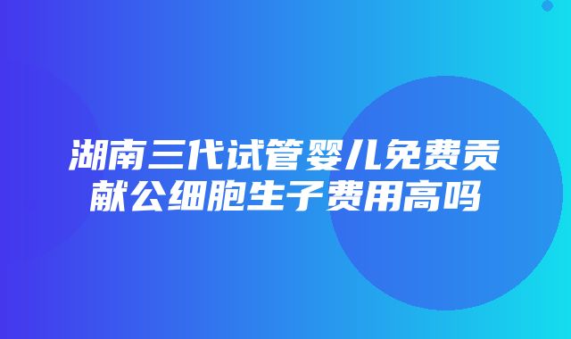 湖南三代试管婴儿免费贡献公细胞生子费用高吗