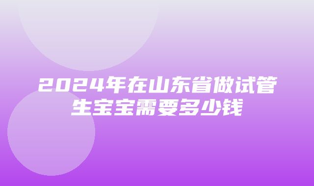 2024年在山东省做试管生宝宝需要多少钱