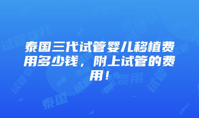 泰国三代试管婴儿移植费用多少钱，附上试管的费用！