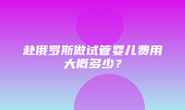 赴俄罗斯做试管婴儿费用大概多少？