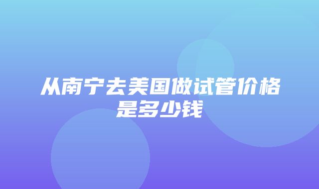 从南宁去美国做试管价格是多少钱