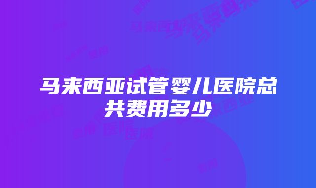 马来西亚试管婴儿医院总共费用多少