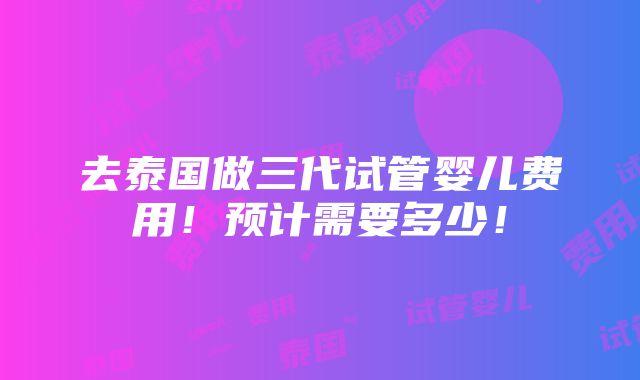 去泰国做三代试管婴儿费用！预计需要多少！