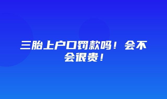 三胎上户口罚款吗！会不会很贵！