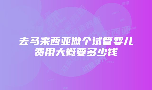 去马来西亚做个试管婴儿费用大概要多少钱